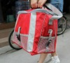 Food Nylon Cooler bag