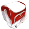 Food cooler bag