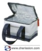 Food cooler bag