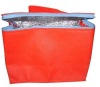 Food use non-woven cooler bags