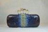 Four Ring skull python skin clutch bag