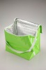 Freezer Cooler Box Bags CB4