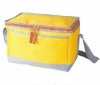 Fshion ice chest bag