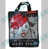 Fuuny PP Woven laminated bags for kinds