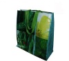 Glossy laminated PP Woven bags