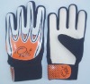 Goalie Gloves