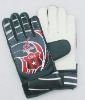 Goalie Gloves