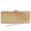 Gold Aluminum evening bags WI-0786