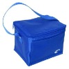 Good quality camping cooler bag