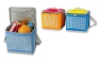Good style Cooler Bag for family camping