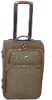 Gray pvc trolley luggage