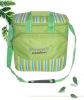 Green 600D polyester  picnic cooler bag  GE-6004