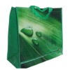 Green Bag