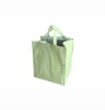 Green Cooler Carry Sack