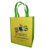 Green Non woven Bag for Promotion