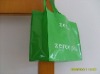 Green PP woven Bag(DFY-B023)