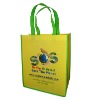 Green Recyclable PP Non Woven Bag