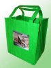 Green Reusable Shopping Bag