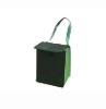 Green Shopping Cooler Sack