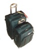 Green color trolley case