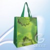 Green pp nonwoven Shopping Bag