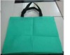 Green shoe bag