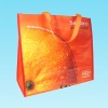 Guangzhou gifts bag for promotion