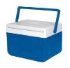 Guaranteed 100% 5L ice cooler box/Esky/fishing cooler box