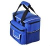 HLBD-021 2011new style cooler bags,ice bags,insulated bag