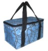 HLBD-022 2011new style cooler bags,ice bags,insulated bag