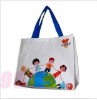 HLSPB-034 non woven promotional shopping bag