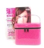 HLXB-015 2011new style cosmetic bag,fashion bag,popular bag
