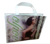 HOT!!! 2012 The ECO lamination non woven bag