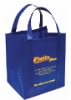 HOT non-woven shopping bag PNW010