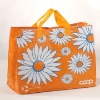 HOT supermaket bag PWB034