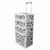 Handsome and high-class professional aluminum trolley case