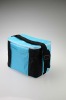 Hard Cooler Bag For Frozen Food SD-A0012