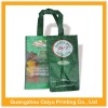 Health and Green bag