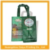 Health and Green bag