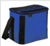 High Density Insulation Giant Flexible Beach Cooler Bag/super ice pack/ice gel pack /plastic ice tin cooler bag