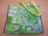 High Quality PP Woven Gift Bag