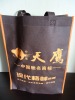 High quality non woven wine bag NWB1110