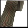 High-tenecity PP Webbing strap