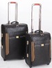 Hot   Luggage Trolley  2012