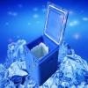 Hot Promote Insulated Vaccine Cooler Box