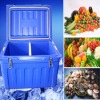 Hot Sale 62L Rotomolded Food Storage Cooler Box