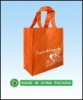 Hot Sale Non Woven Bag