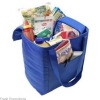 Hot Selling Budget Cooler Bag