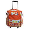 Hot Selling Cooler bag