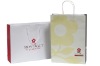 Hot Selling Luxury Paper Shopping bag